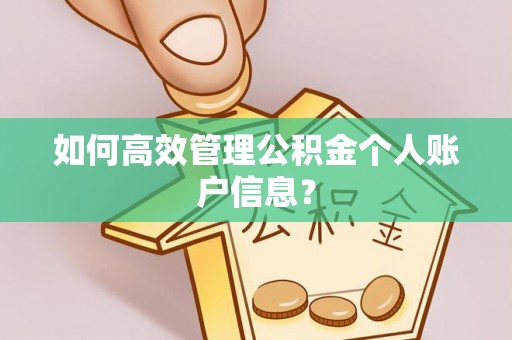 旬邑如何高效管理公积金个人账户信息？